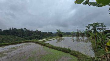 Gambar 1 DIJUAL TANAH VIEW SAWAH TERASERING DI PENEBEL TABANAN BALI