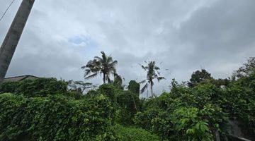 Gambar 2 DIJUAL TANAH VIEW SAWAH TERASERING DI PENEBEL TABANAN BALI