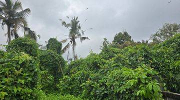 Gambar 3 DIJUAL TANAH VIEW SAWAH TERASERING DI PENEBEL TABANAN BALI