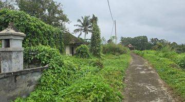 Gambar 4 DIJUAL TANAH VIEW SAWAH TERASERING DI PENEBEL TABANAN BALI