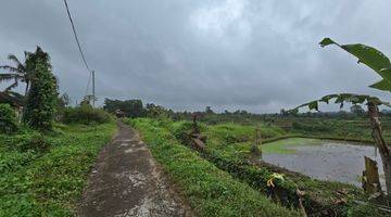 Gambar 5 DIJUAL TANAH VIEW SAWAH TERASERING DI PENEBEL TABANAN BALI