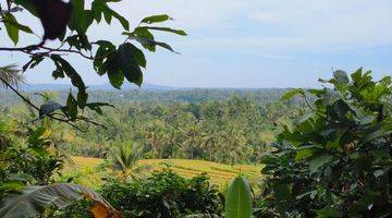 Gambar 4 DIJUAL TANAH MURAH VIEW SAWAH DILINGKUNGAN VILLA DI TABANAN BALI