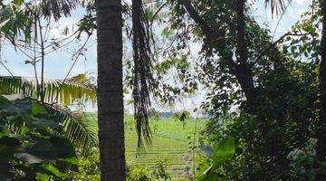 Gambar 3 Dijual tanah los sungai dan view sawah di tabanan bali