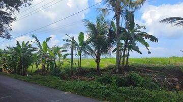 Gambar 5 Dijual tanah los sungai dan view sawah di tabanan bali