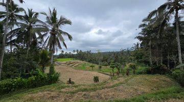 Gambar 5 DIJUAL TANAH VIEW CANTIK MURAH di Penebel Tabanan Bali