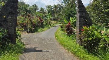 Gambar 3 Tanah Murah View Sawah Dan Los Sungai Di Tabanan Bali