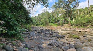 Gambar 3 DIJUAL TANAH LOS SUNGAI Murah Di Tabanan Bali