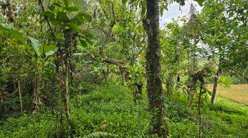 Gambar 4 DIJUAL TANAH MURAH DENGAN VIEW SAWAH MEMBENTANG DI TABANAN BALI