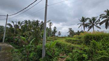 Gambar 4 DIJUAL TANAH VIEW CANTIK MURAH di Penebel Tabanan Bali