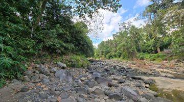 Gambar 2 DIJUAL TANAH LOS SUNGAI Murah Di Tabanan Bali