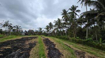 Gambar 2 DIJUAL TANAH VIEW CANTIK MURAH di Penebel Tabanan Bali