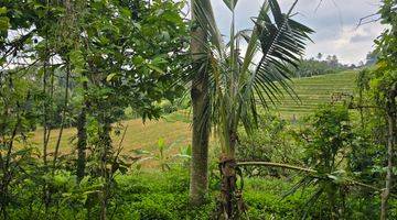 Gambar 2 DIJUAL TANAH MURAH DENGAN VIEW SAWAH MEMBENTANG DI TABANAN BALI