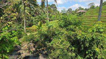 Gambar 4 Tanah Murah View Sawah Dan Los Sungai Di Tabanan Bali