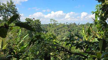 Gambar 5 Dijual Kebun Kopi Murah Dengan View Sawah Di Tabanan Bali