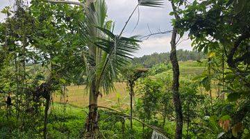 Gambar 5 DIJUAL TANAH MURAH DENGAN VIEW SAWAH MEMBENTANG DI TABANAN BALI