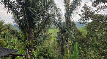 Gambar 5 TANAH BONUS VILLA VIEW SAWAH DI TABANAN BALI