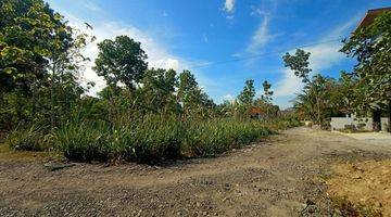 Gambar 2 Tanah Pekarangan Strategis Dekat Kampus Janabadra Wates Kulonprogo. Sangat Cocok Untuk Kost/Kavlingan