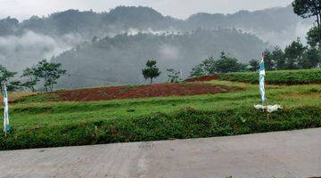 Gambar 5 PUNCAK 2! Kavling Villa SHM 1000 MDPL Di Bogor! Anti Ganjil-Genap