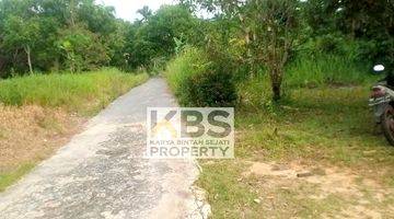 Gambar 3 Dijual Tanah Luas 1.077 m² Lokasi Jl. Bumi Indah Bintan