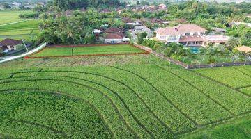 Gambar 5 Dijual Tanah Tibubiyu Pasut Tabanan Lingkungan Villa