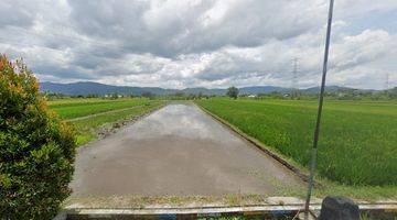 Gambar 1 Tanah Sawah SHM Dekat Pemukiman Area Sukorejo Klaten