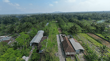 Gambar 2 Tanah Jogja Tepi Jalan Dekat Pasar Tempel