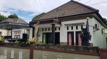 Gambar 3 Rumah Dijual di Pering, Gianyar Gratis Furniture Akses Langsung ke Bypass Ida Bagus Mantra 5 Menit ke Pantai