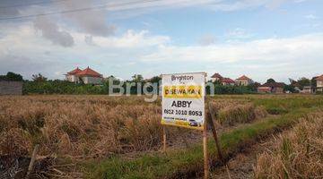 Gambar 1 Tanah Cocok Untuk Villa, Rumah, Apartemen  view sawah