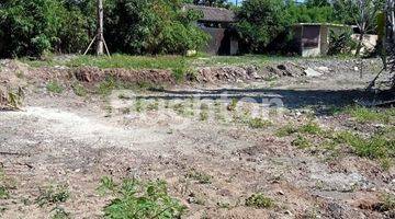 Gambar 2 Land 26 ares in a very strategic location on Jalan Bumbak Canggu Bali