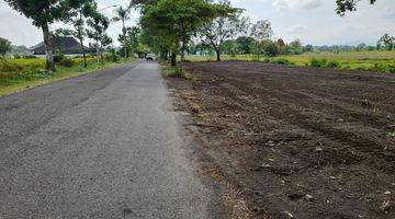 Gambar 1 Tanah Murah Dekat Cimory Dairy Land Bsd, Harga 100 Jutaan