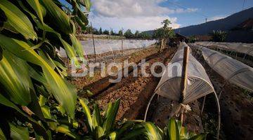 Gambar 3 TANAH DATAR DI DEPAN DANAU BEDUGUL