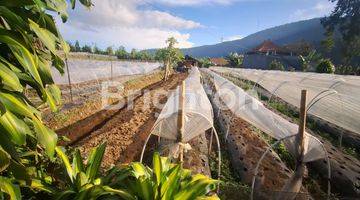 Gambar 1 TANAH DATAR DI DEPAN DANAU BEDUGUL