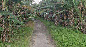 Gambar 2 Tanah SHM Lokasi Strategis di Setapuk Besar, Singkawang Utara