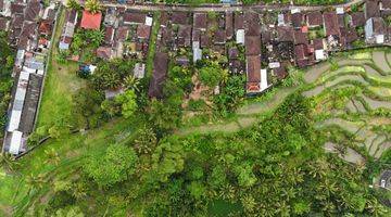 Gambar 3 tanah dengan view jungle di payangan ubud