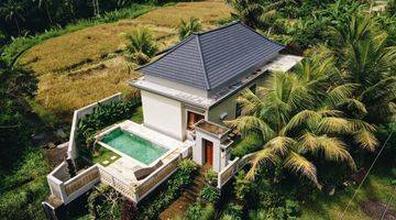 Gambar 1 Modern Villa For Leasehold & Freehold In Ubud