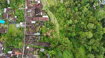 Gambar 4 tanah dengan view jungle di payangan ubud