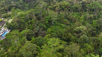 Gambar 5 tanah dengan view jungle di payangan ubud