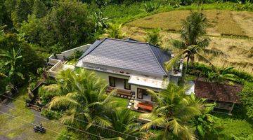 Gambar 4 Modern Villa For Leasehold & Freehold In Ubud