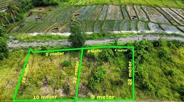 Gambar 1 Tanah Komersial Dekat Pantai Munggu di Pererenan, Canggu