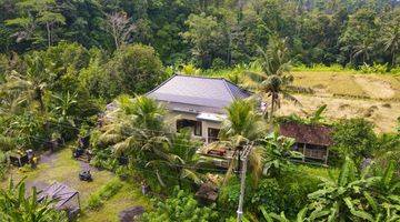 Gambar 5 Modern Villa For Leasehold & Freehold In Ubud