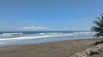 Gambar 1 Dijual Tanah Loss Pantai Lokasi Selemadeg Tabanan 