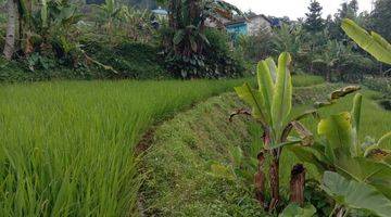 Gambar 2 Di Jual Tanah Darat Sawah Cidahu Sukabumi