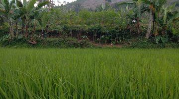 Gambar 1 Di Jual Tanah Darat Sawah Cidahu Sukabumi