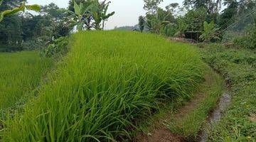 Gambar 4 Di Jual Tanah Darat Sawah Cidahu Sukabumi