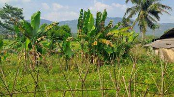 Gambar 3 Di jual tanah desa kalong liud nanggung