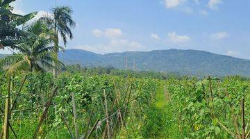 Gambar 5 Di jual tanah desa kalong liud nanggung