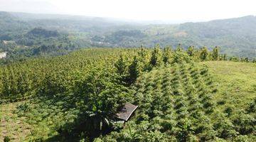 Gambar 1 Di jual tanah kebun jati warungkiara sukabumi jawa barat