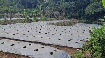 Gambar 1 Di jual tanah jalan terobosan puncak bogor