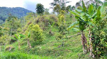 Gambar 2 Tanah Terjangkau Kemuning 1837m2 350Jt Karanganyar 