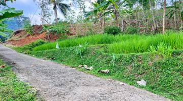 Gambar 2 Tanah View Hamparan Sawah 800 Juta Karangpandan 